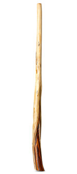 Heartland Didgeridoo (HD513)